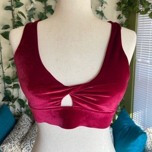 Velvet Fabletics Sports Bra! ❤️